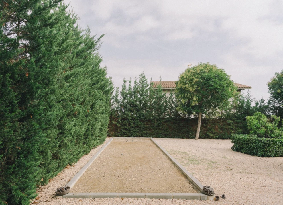 1668593167-image28.webp